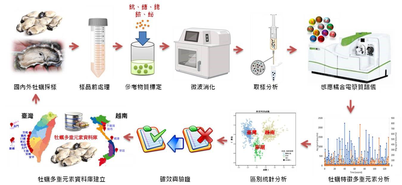 牡蠣種類鑑定之流程概念